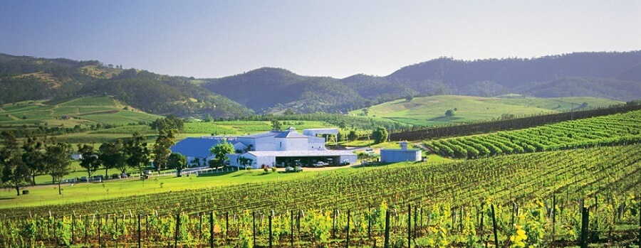 The Best Wineries to Visit in the Hunter Valley