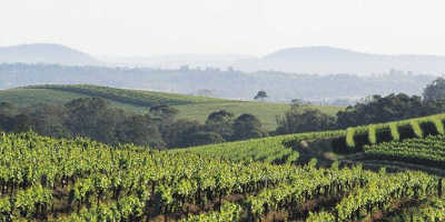 Hunter Valley Winery Tour from Hunter Valley $115