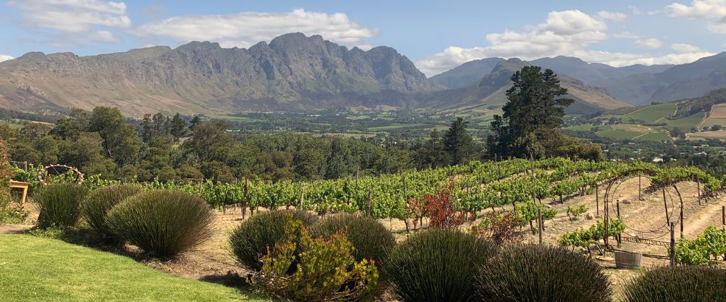 Hunter Valley Vine Tours
